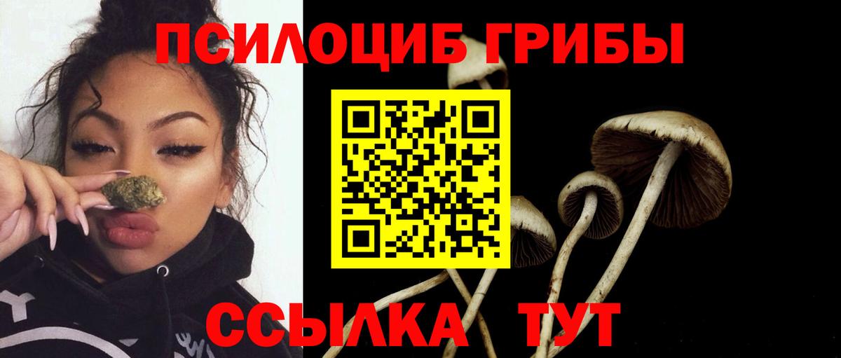 Галлюциногенные грибы Psilocybe  купить наркоту  Вход с VPN  Вятские Поляны  Галлюциногенные грибы прущие грибы 